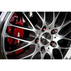 Combo pintura bicapa + barniz + catalizador: Colección "Allumsilver"