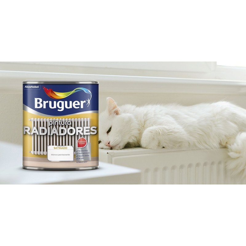 Pintura para radiadores Hammerite